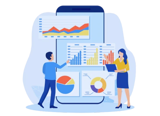 Tally Software Service In Chennai